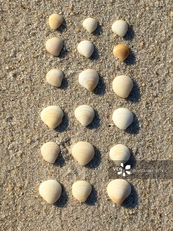 海滩物品摆放图片素材