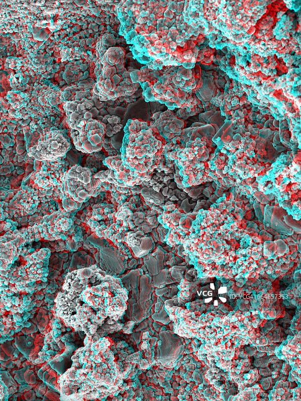 3D显微立体图像对图片素材