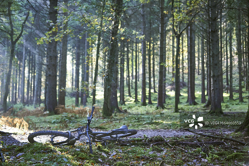 英国布里斯托尔迪恩森林泥路上的山地自行车图片素材