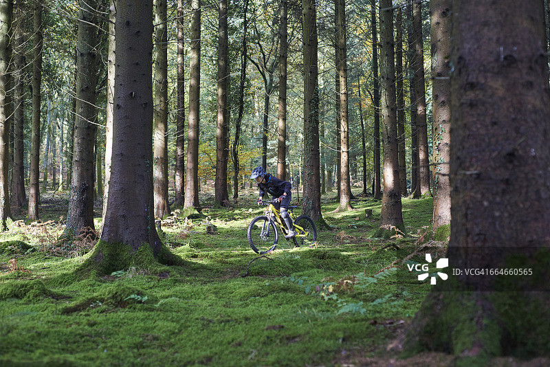 在英国布里斯托尔迪恩森林骑山地自行车的女人图片素材