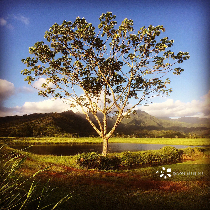 世界摄影日图片素材