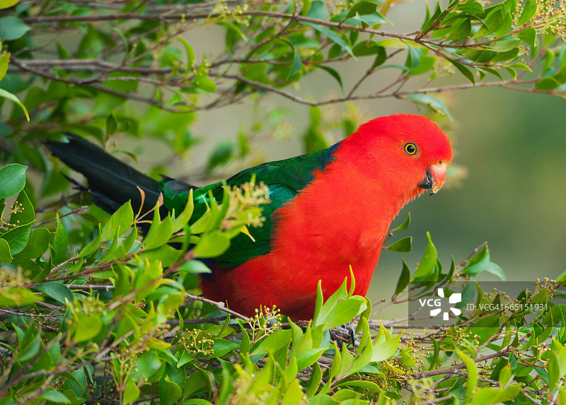 世界摄影日图片素材