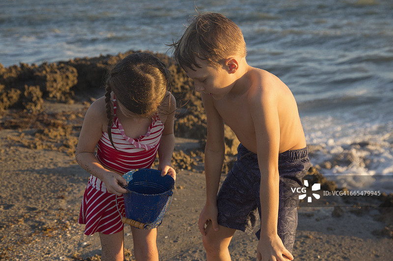女孩和哥哥在海滩上窥视玩具桶（美国佛罗里达州朱庇特岛吹岩保护区）图片素材