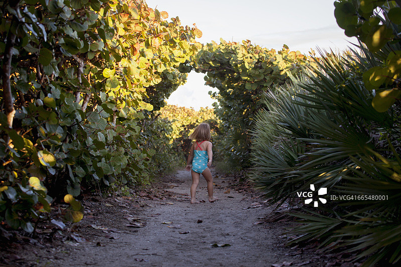 身穿泳装的女孩在公园探索的背影，地点：美国佛罗里达州朱庇特岛图片素材