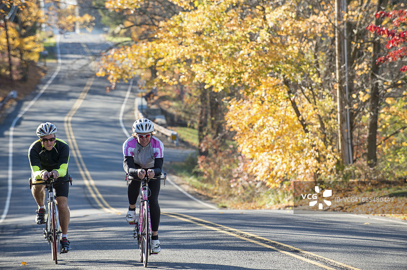 在绿树成荫的道路上并排行驶的骑行者图片素材