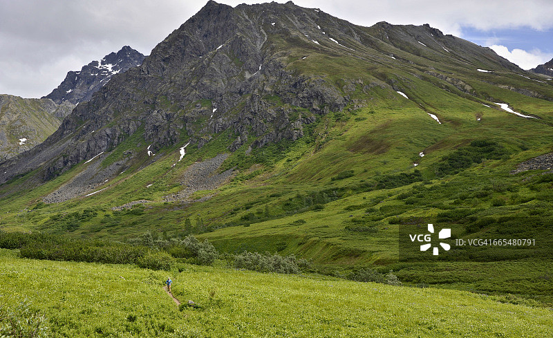 在美国阿拉斯加州哈彻山口附近的塔尔基特纳山脉，一名妇女在金薄荷小径上跑步的远景图片素材