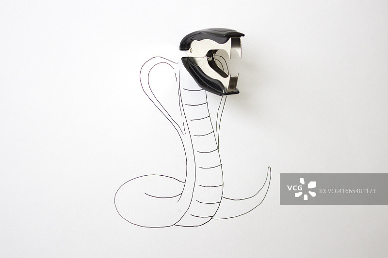 眼镜蛇概念图图片素材