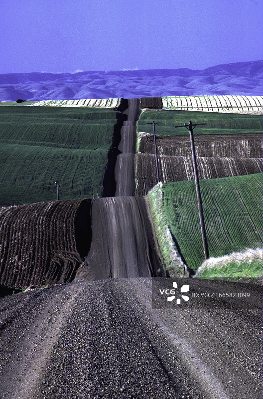 麦田里的乡村道路图片素材