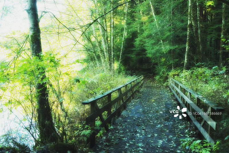 北温哥华莱斯湖图片素材