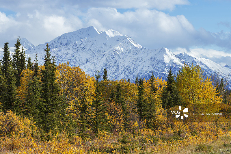 加拿大育空地区阿拉斯加公路沿线的秋季风光图片素材