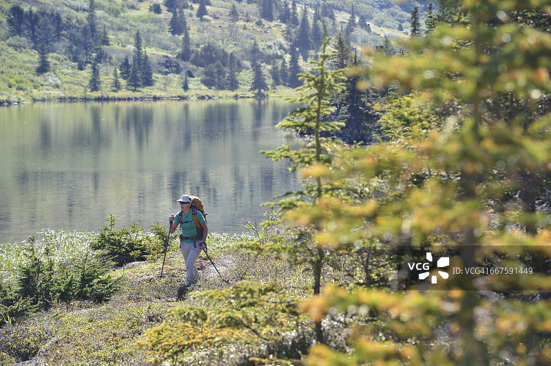 女背包客徒步阿拉斯加基奈半岛图片素材