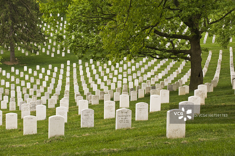 阿灵顿国家公墓的墓碑图片素材