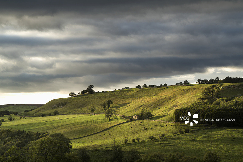 多云天空下连绵起伏的绿色田野图片素材