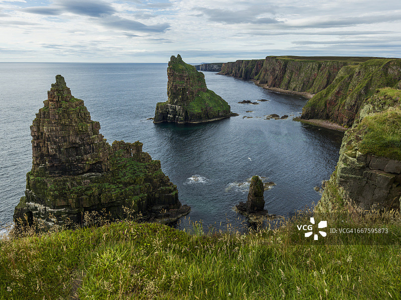 邓肯斯比角的石柱和悬崖图片素材