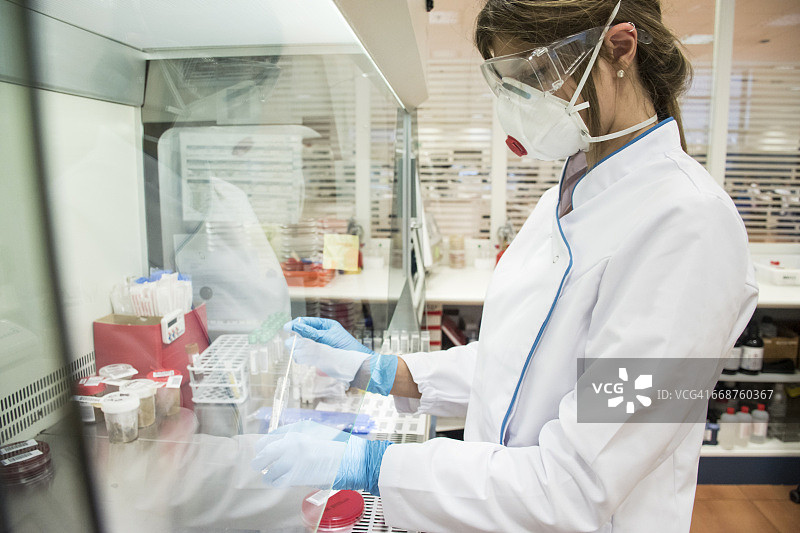 分析实验室的技术员在培养皿中培养细胞图片素材