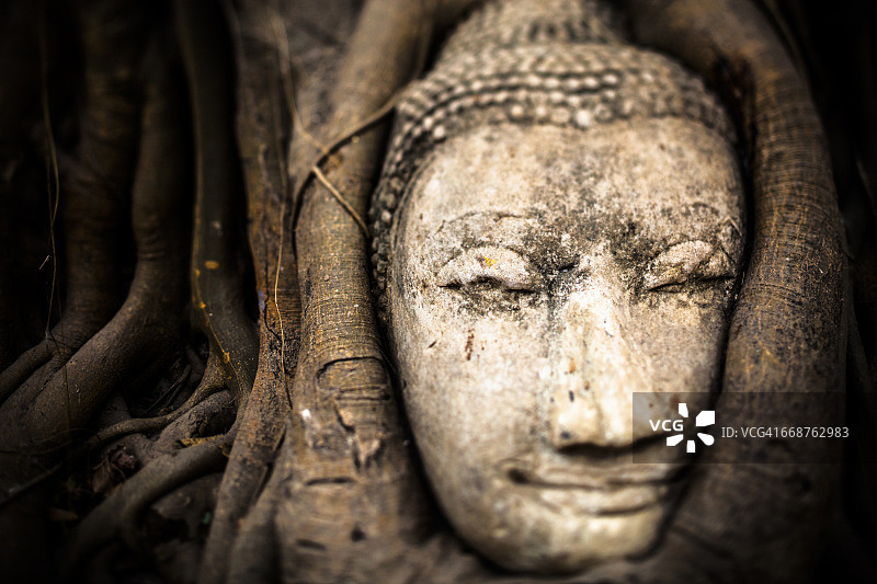 泰国大城府玛哈泰寺树根间的砂岩佛头图片素材