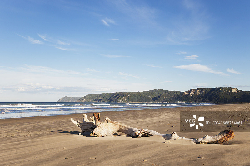 新西兰北岛蒂阿拉罗瓦海滩的浮木和南太平洋图片素材
