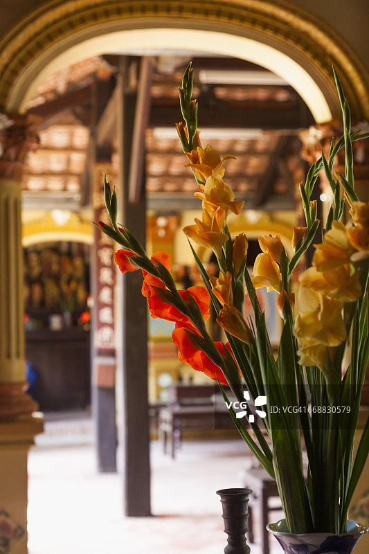 越南湄公河三角洲内景图片素材