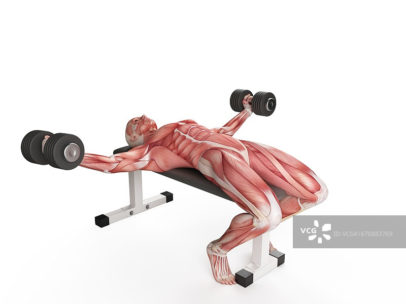 男人使用哑铃图片素材