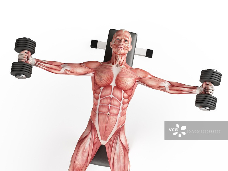 男人使用哑铃图片素材