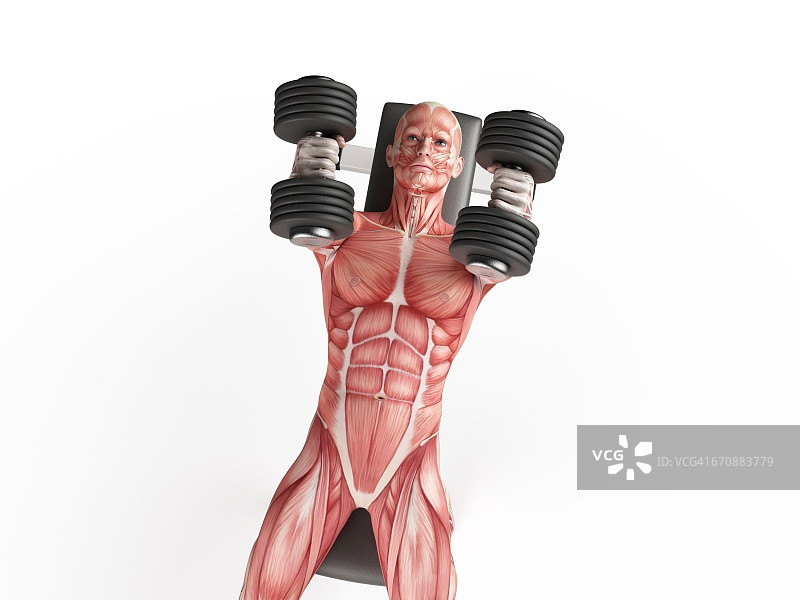 男人使用哑铃图片素材