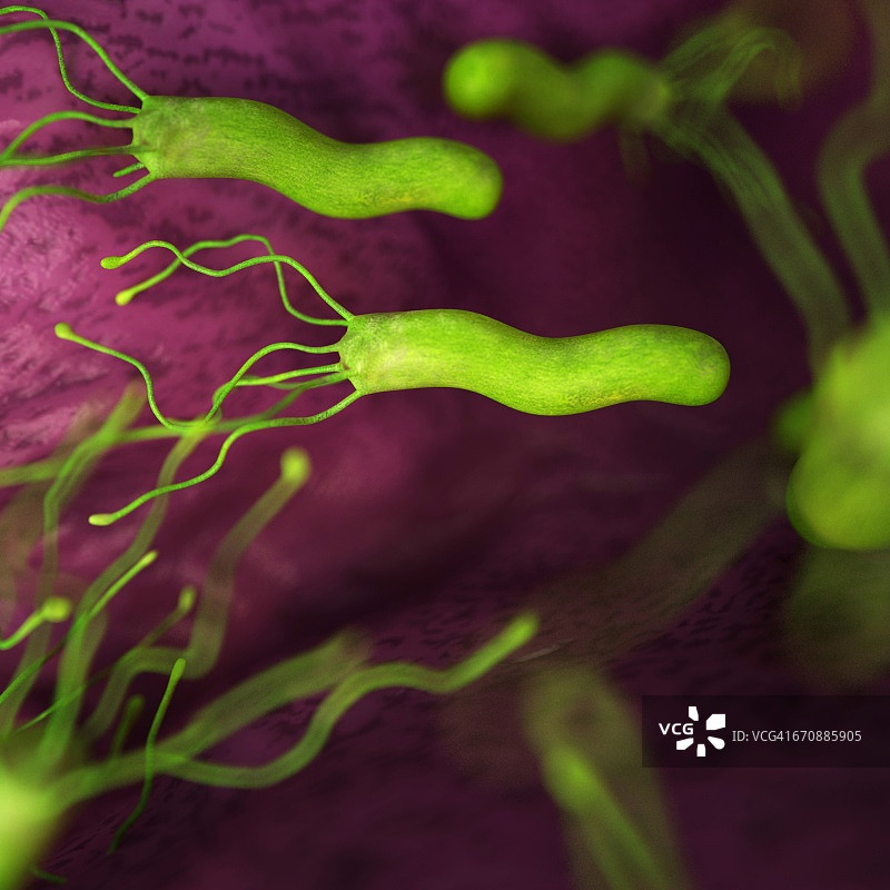 幽门螺杆菌图片素材