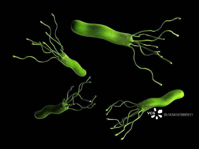 幽门螺杆菌图片素材