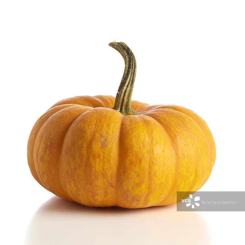 南瓜图片素材