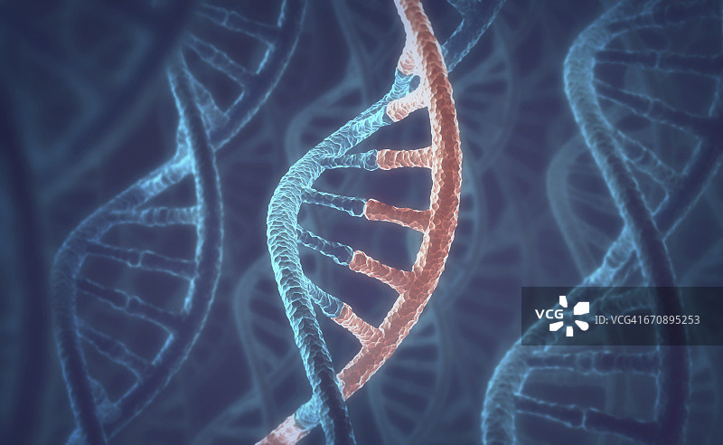 DNA分子插图图片素材