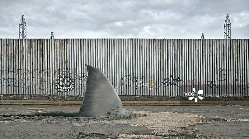 鲨鱼鳍在破败的城市街道中图片素材