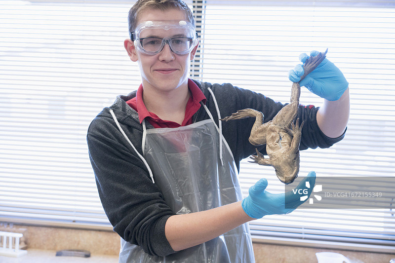 男孩在科学课堂上与青蛙合影图片素材