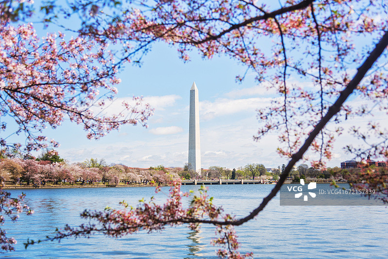 华盛顿纪念碑远景（美国哥伦比亚特区华盛顿）图片素材