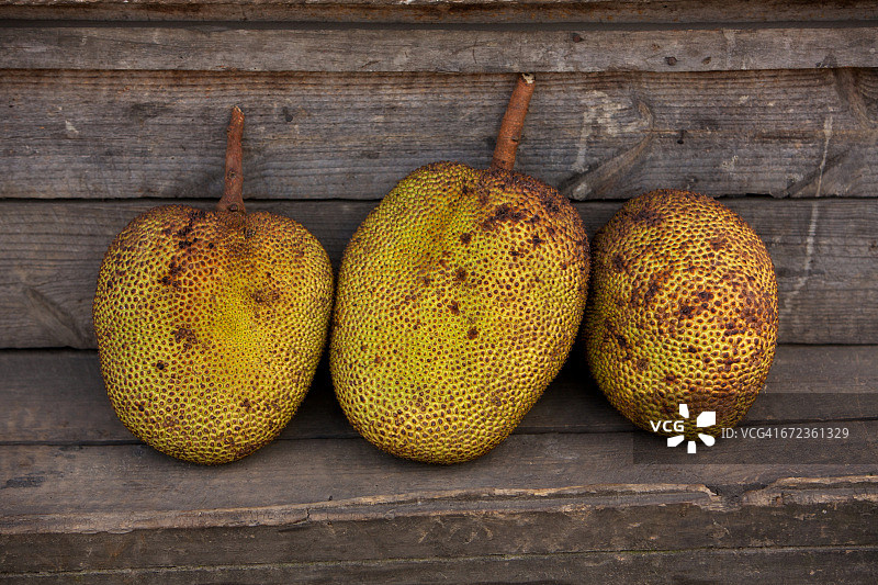 面包果图片素材