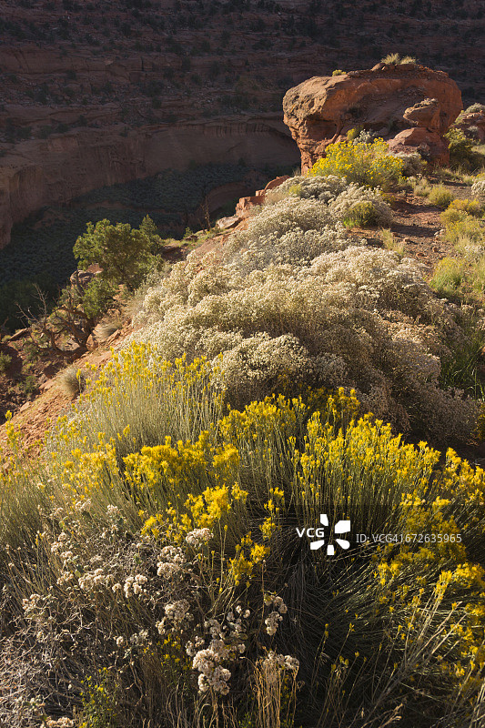 伯尔小径风景区景观图片素材