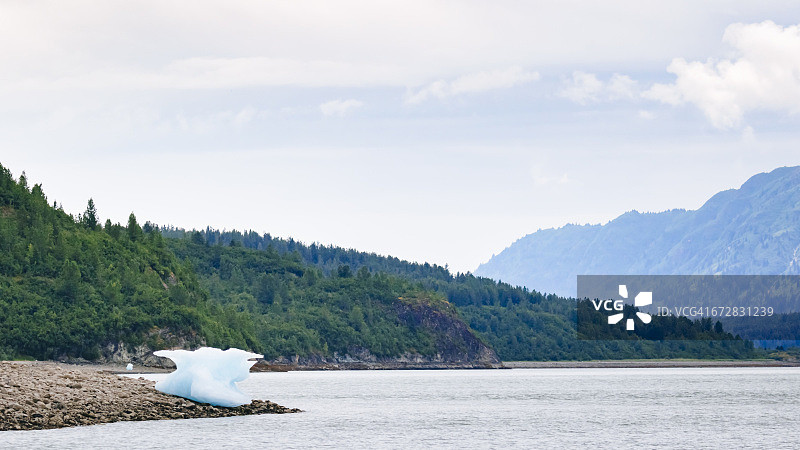 冰川湾国家公园缪尔湾图片素材