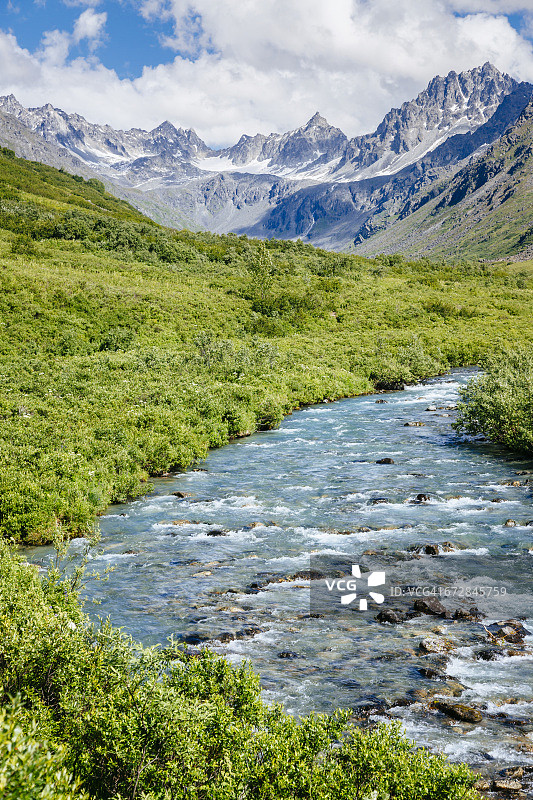 小苏西特纳河沿岸的黄金薄荷小径图片素材