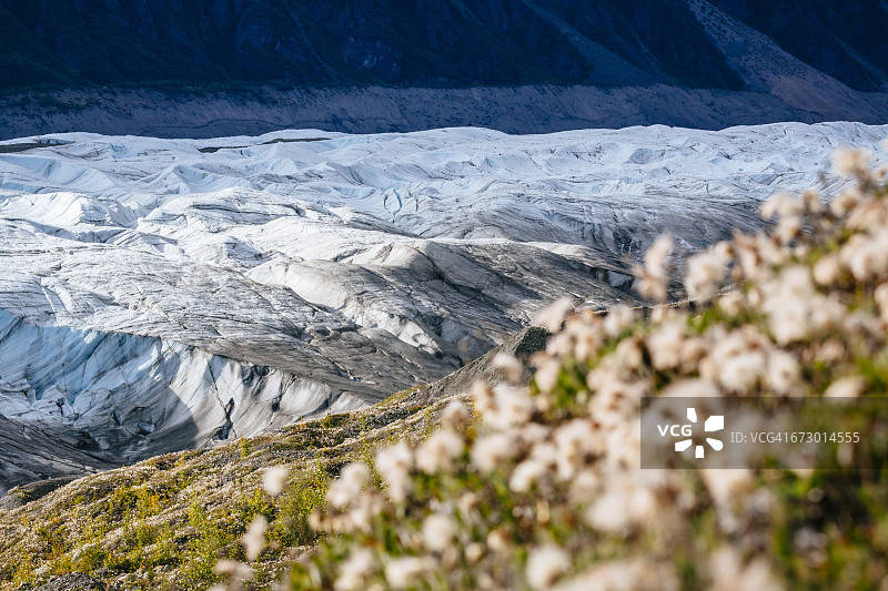 冰川根部小径图片素材