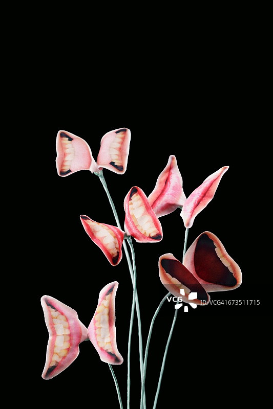 超现实主义静物图片素材