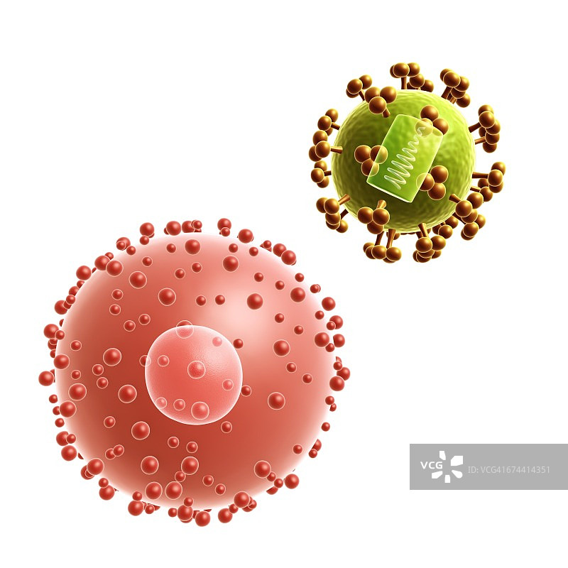 HIV病毒感染细胞插图图片素材