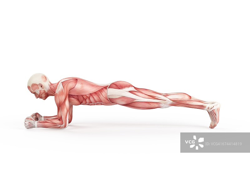 做平板支撑的人图片素材