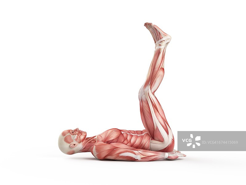 做抬腿运动的人图片素材