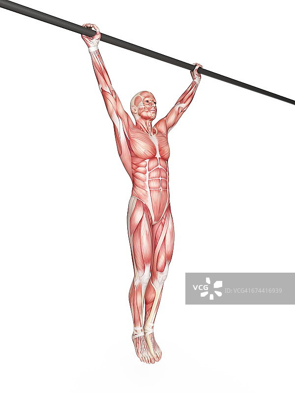 在易拉宝上锻炼的人图片素材