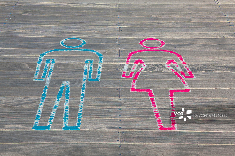 纹理系列:木图片素材