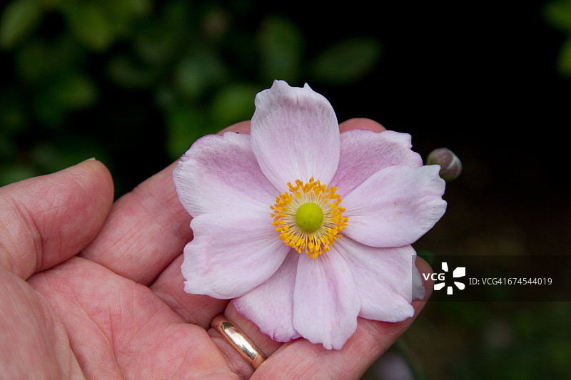 暑假最后一周图片素材