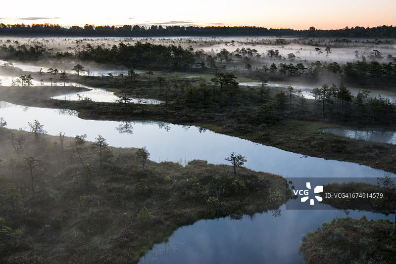 黎明时的湿地栖息地图片素材