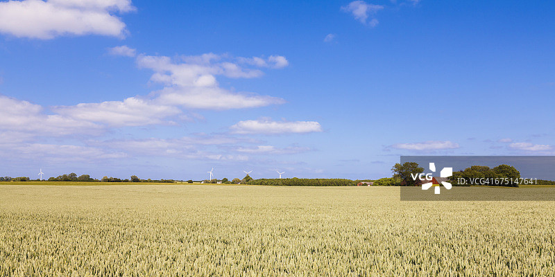 默恩岛上的麦田和风力发电场图片素材