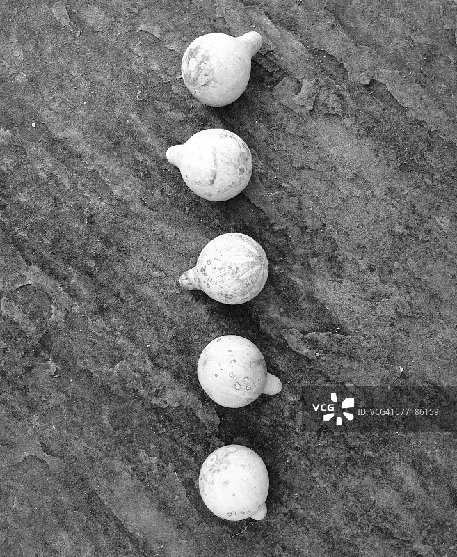 秋季物品摆放艺术图片素材