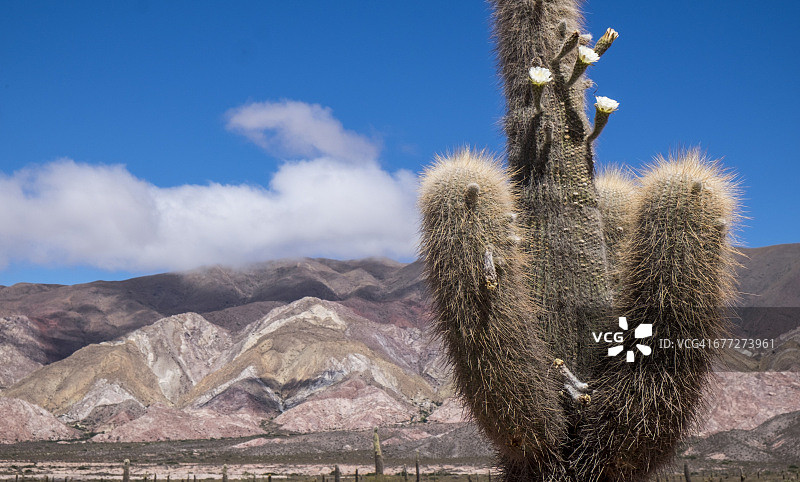 胡胡伊和普尔马马卡之间的高山图片素材