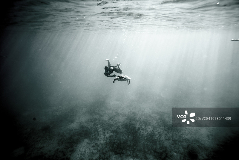 女人和海龟一起游泳图片素材
