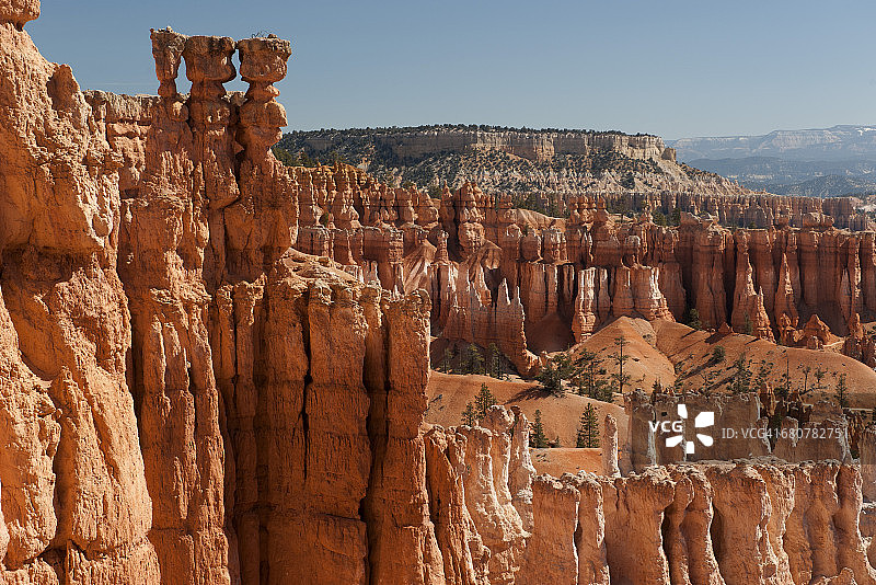 美国犹他州布莱斯峡谷国家公园的石柱林图片素材